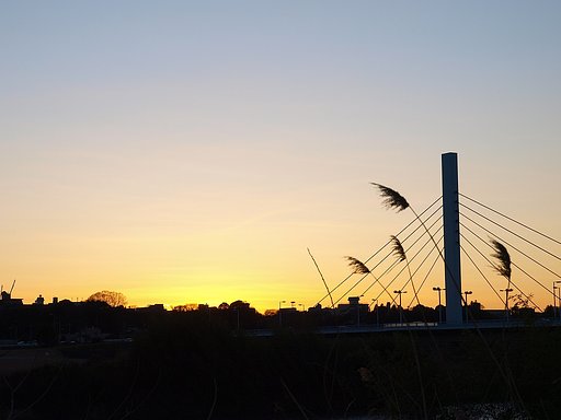 夕日