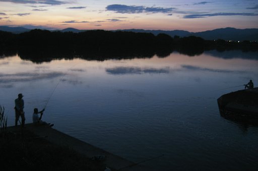【ザ・ワールド】淀の流れに