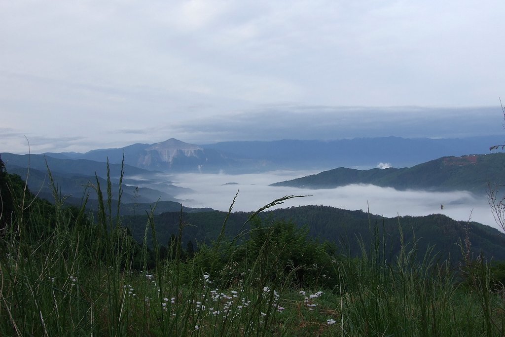 雲海