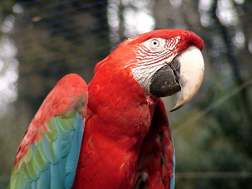 ◆冬の動物園から-10