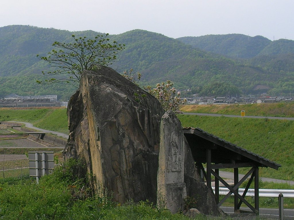 磨崖仏の岩
