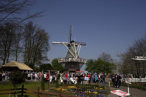キューケンホフ庭園（オランダ）まで遠征してきました