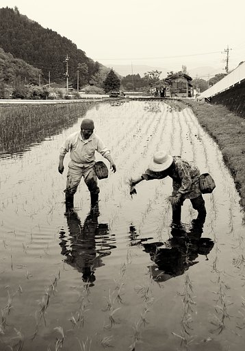 【ザ・ワールド】 むつまじく...