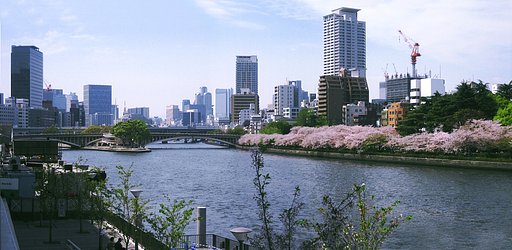 中之島は天神橋の桜景色