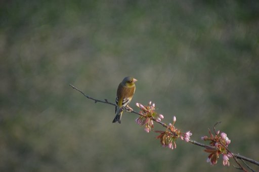 初投稿です