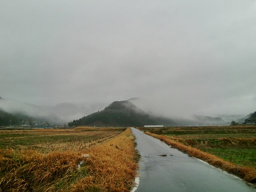 昨日から雨降りの東の空