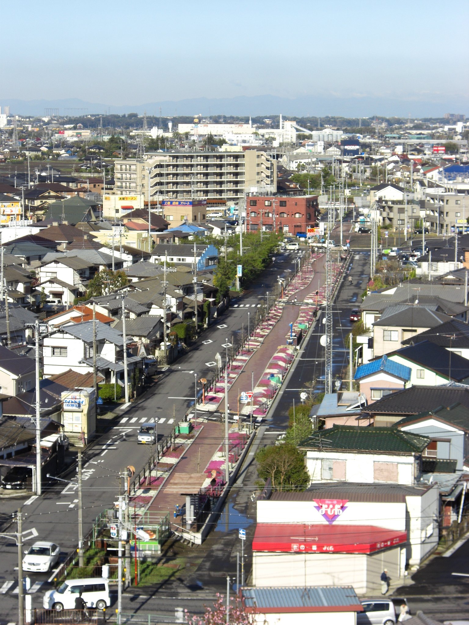 芝桜の遊歩道