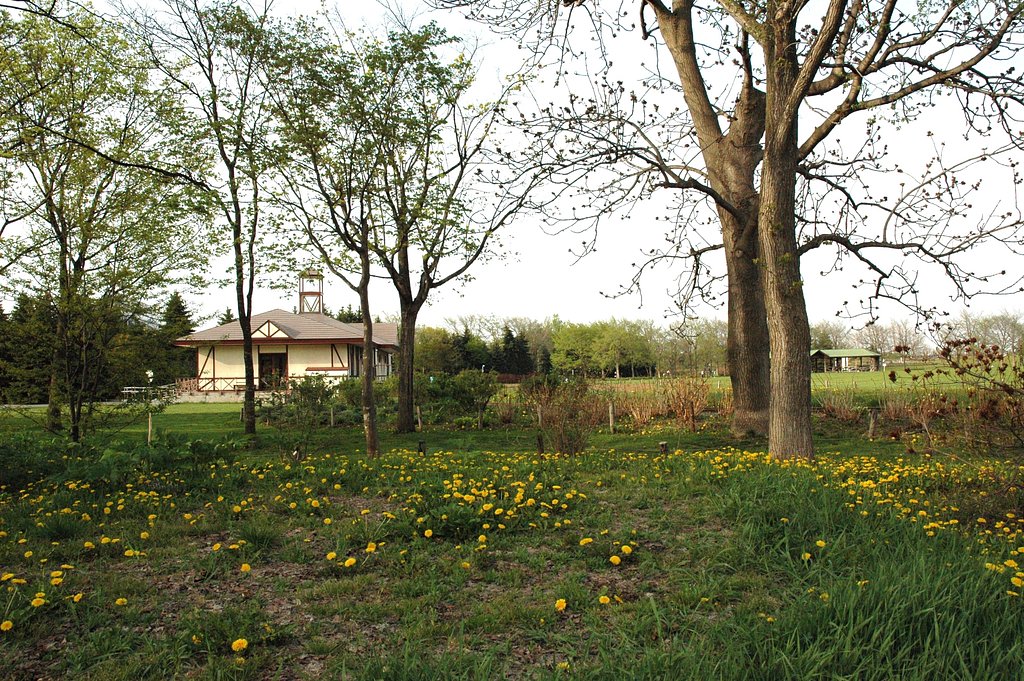 公園