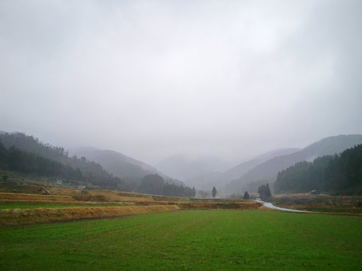 横殴りの雨降りの今日の東の朝