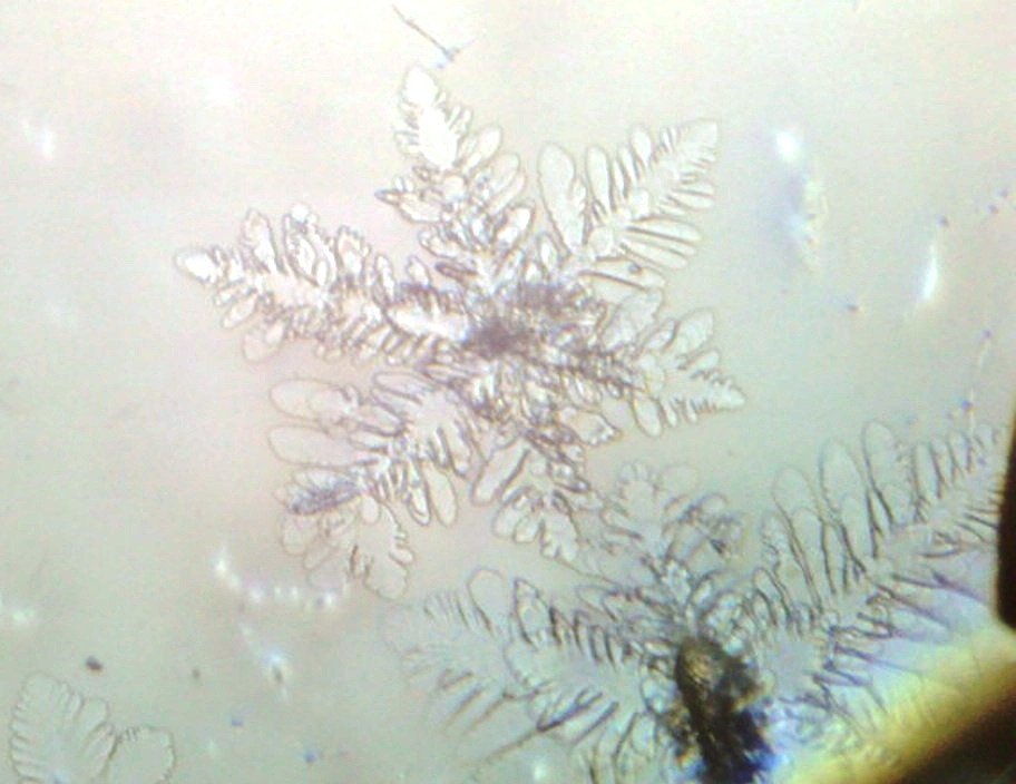 氷の中の花（チンダル像）