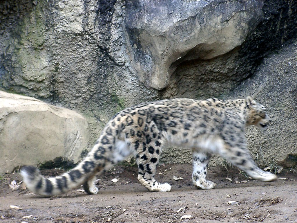 ◆冬の動物園から-33