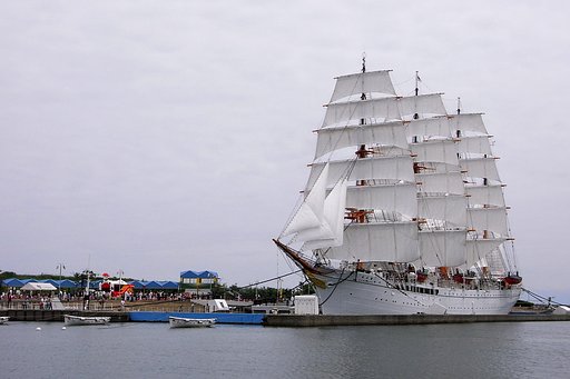 【写川柳】海洋丸