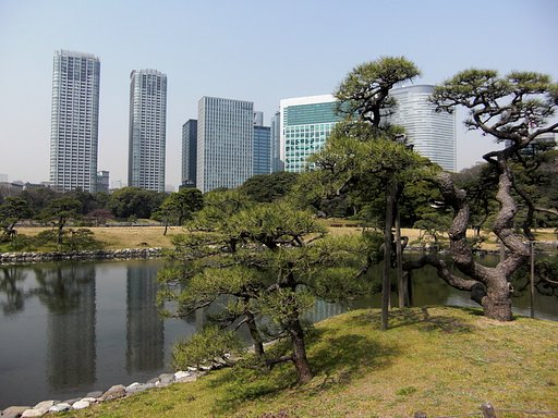 松と汐留の高層ビル