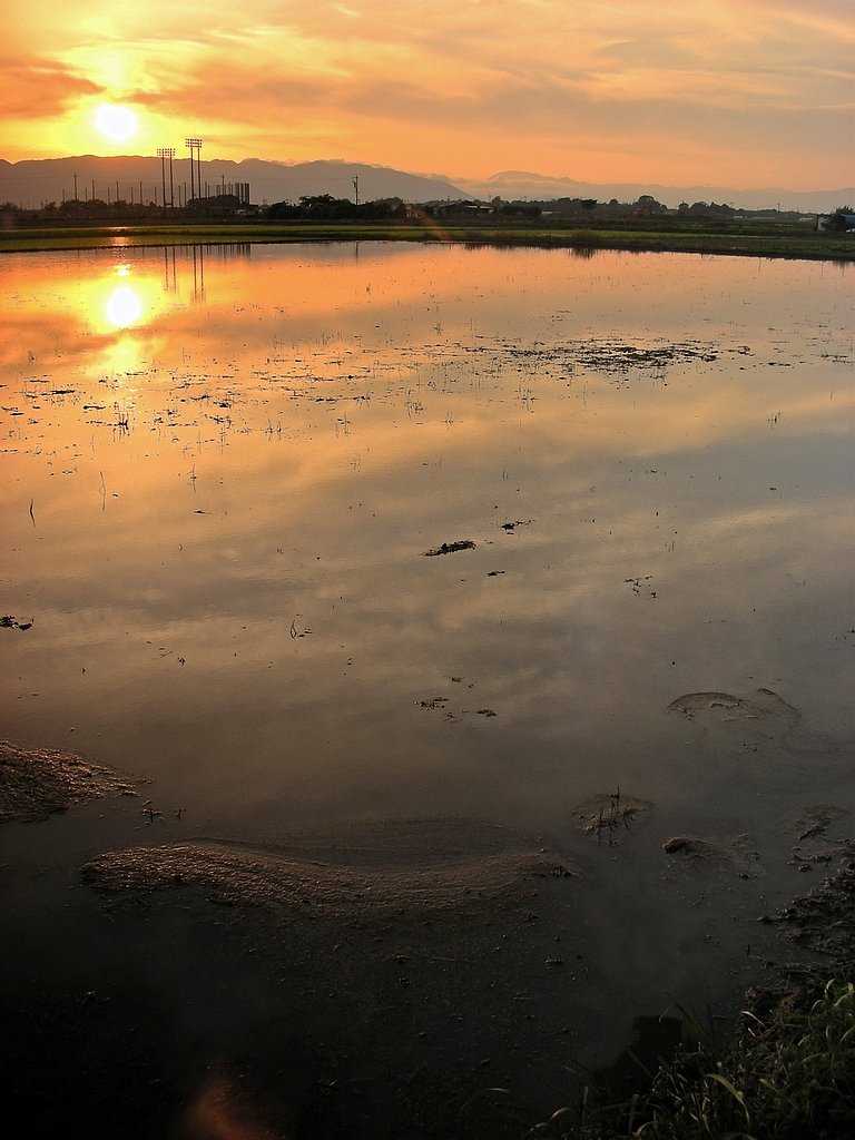 初夏の洛陽