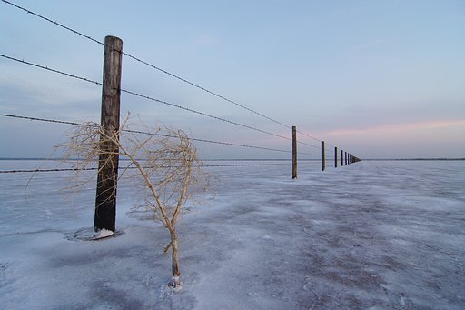 白い平原