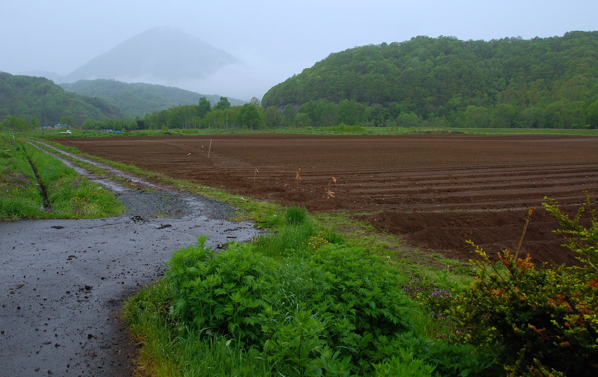山里の、雨の夕暮れ
