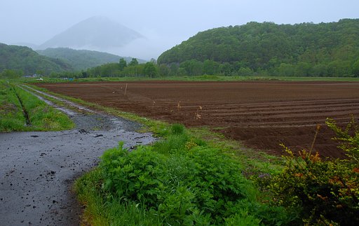 山里の、雨の夕暮れ