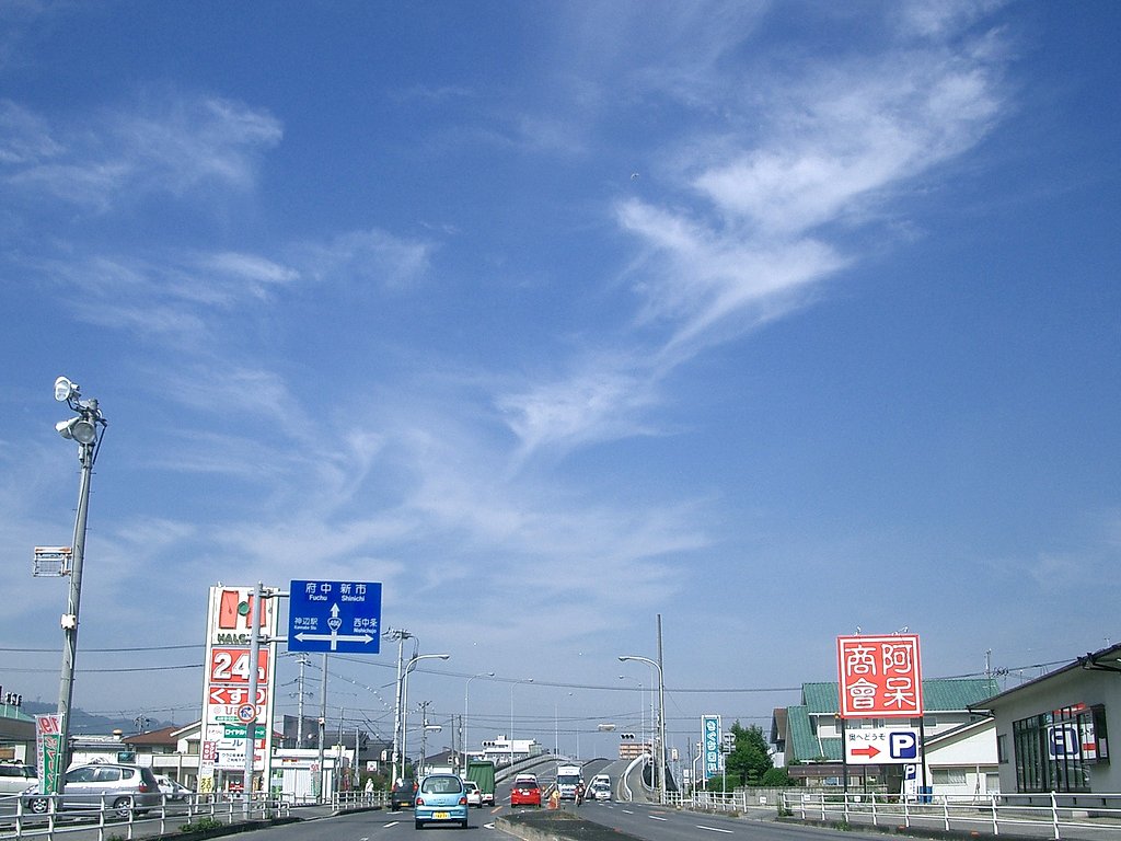 梅雨は何処へ
