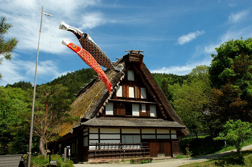 鯉のぼりと古民家