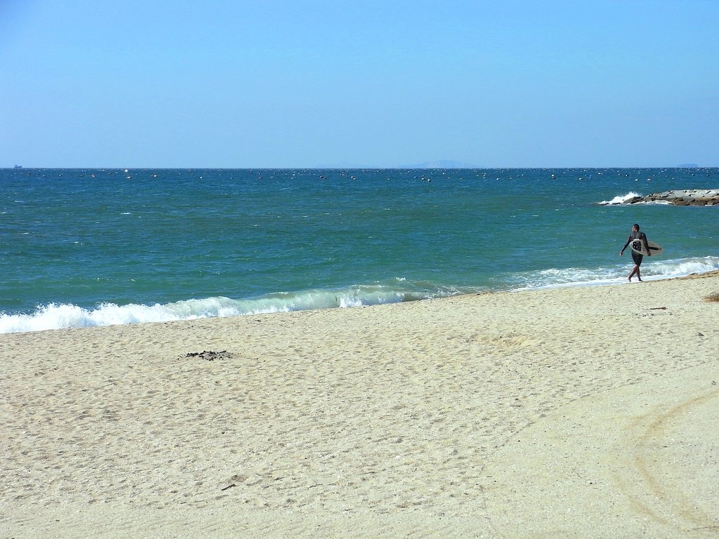 サーファーと海