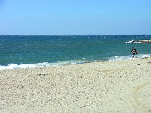 サーファーと海