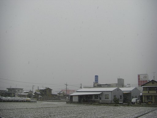 初雪