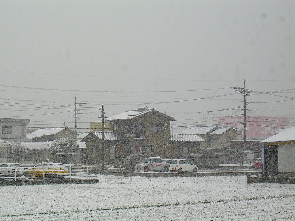 初雪
