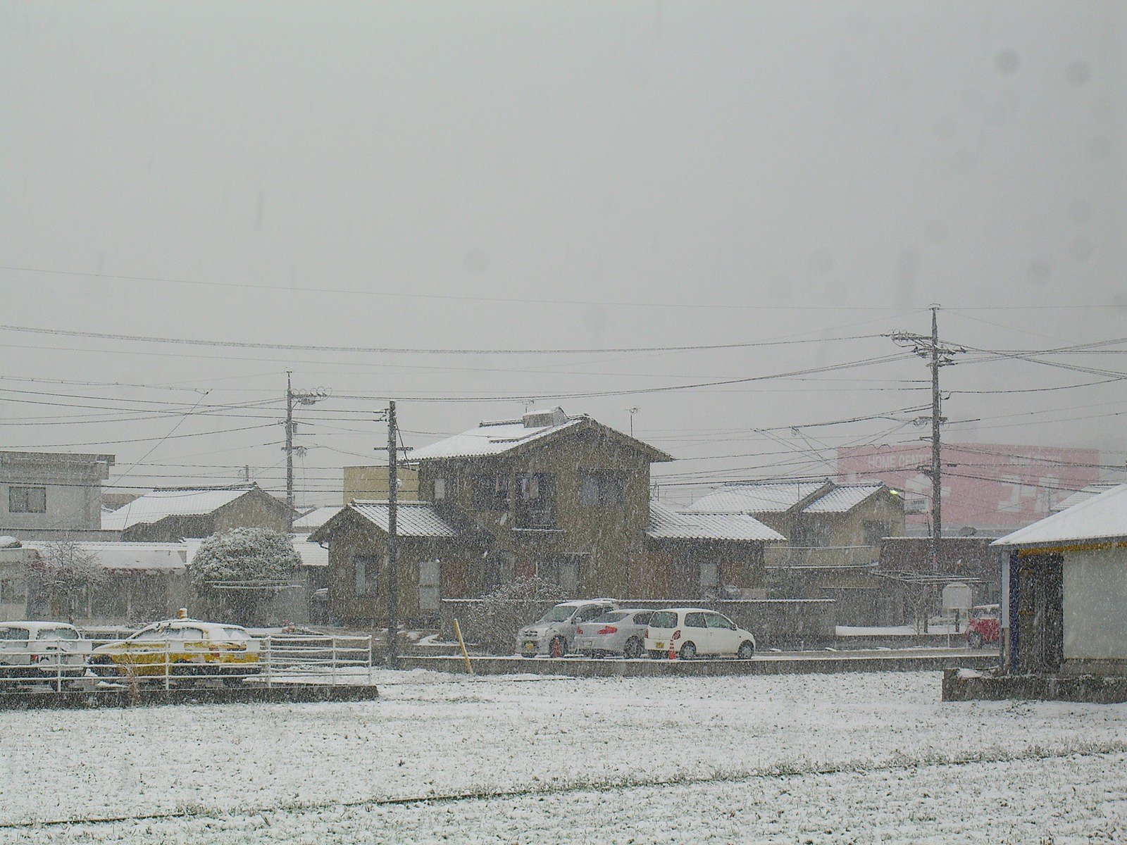 初雪