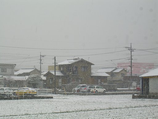 初雪