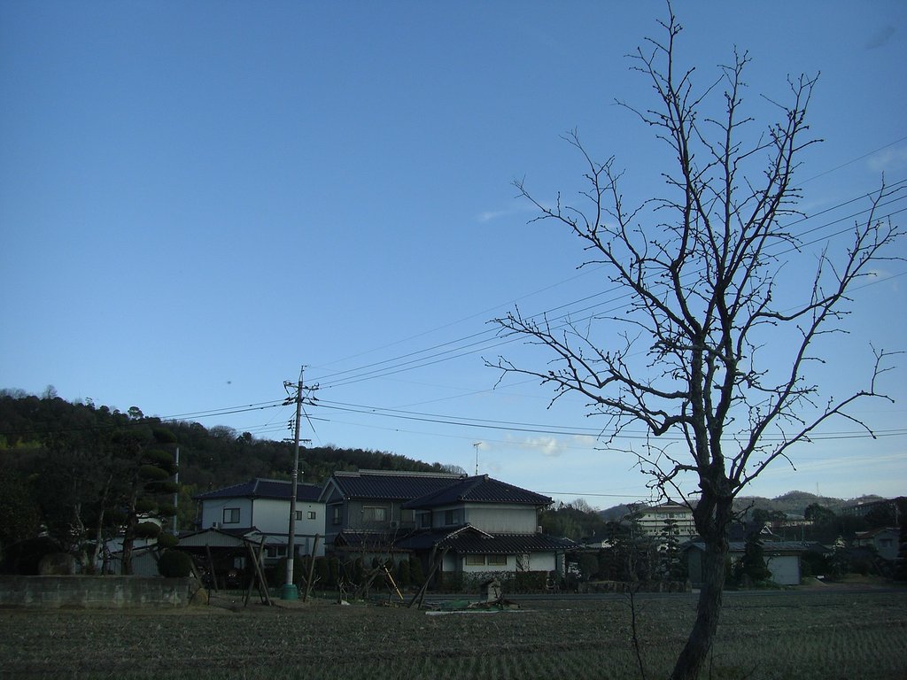 午後の景色