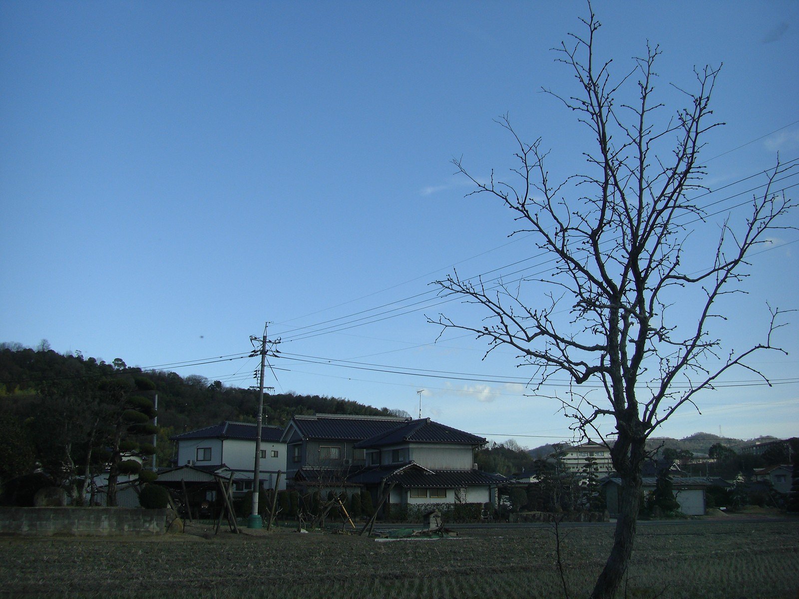午後の景色