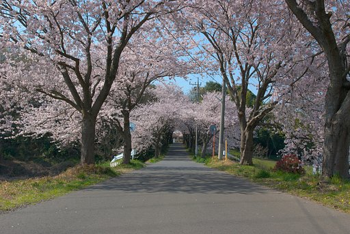 トンネルの向こう側・・・