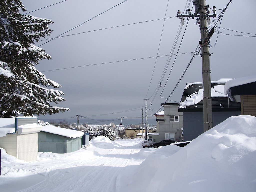 海の見える冬景色