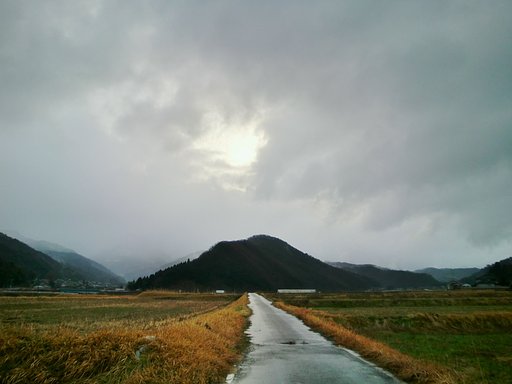 霧雨の今朝の東の空！