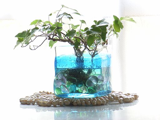 【彩】涼