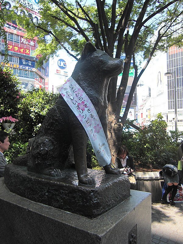 忠犬ハチ公像