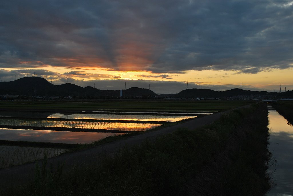 田園の日の出