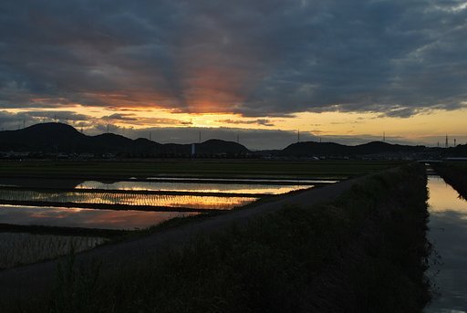 田園の日の出