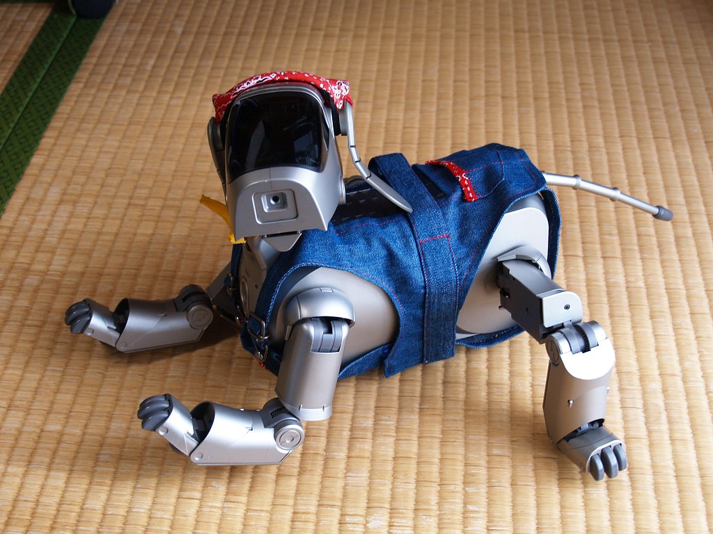 AIBO