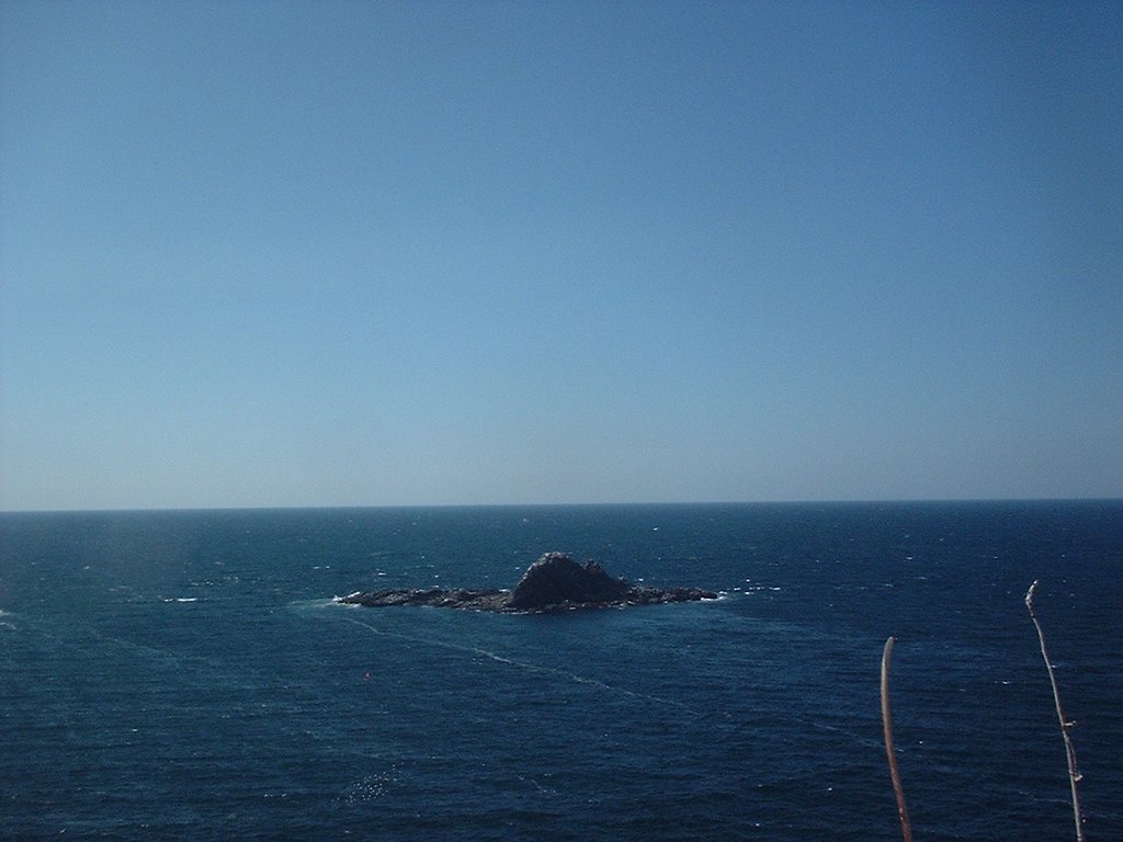 海