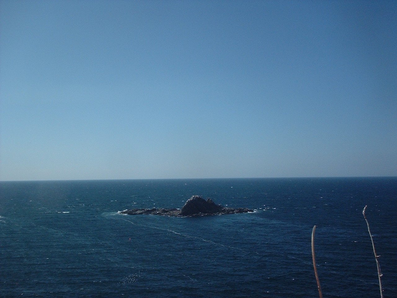 海