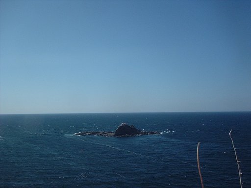 海
