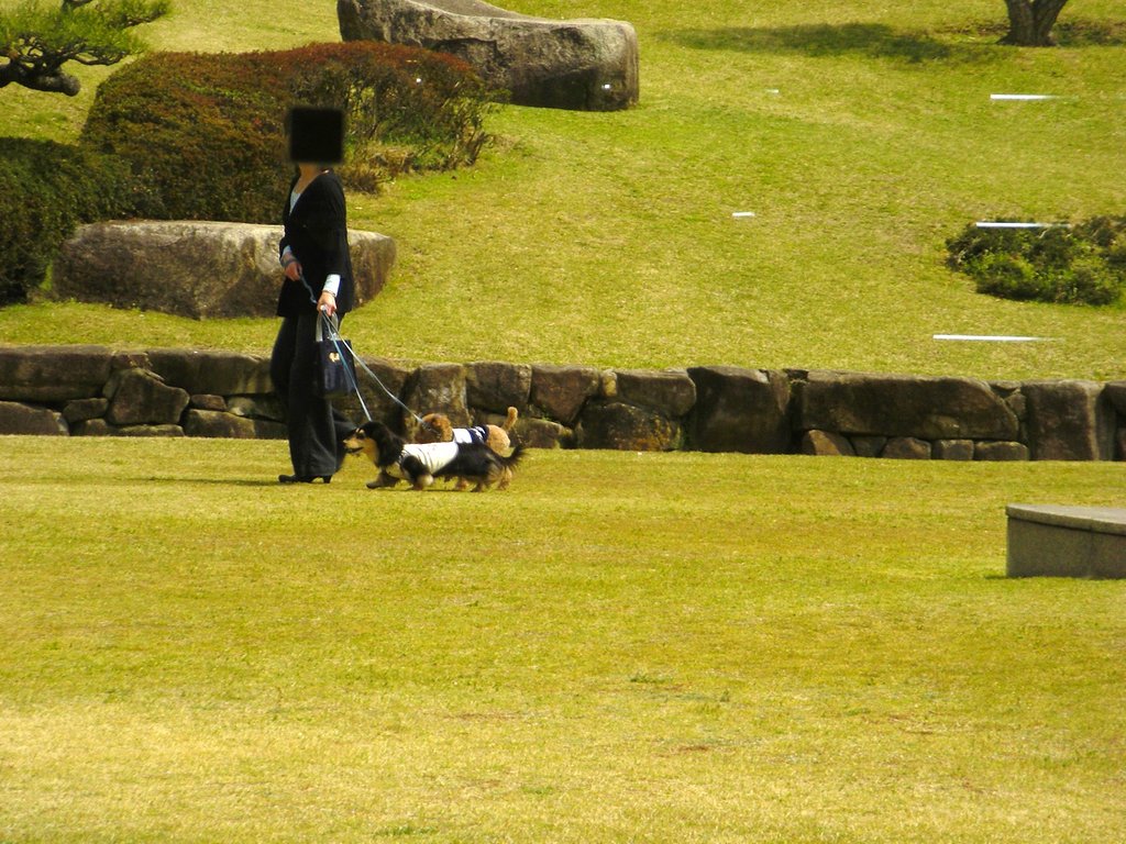 犬の散歩と偶然