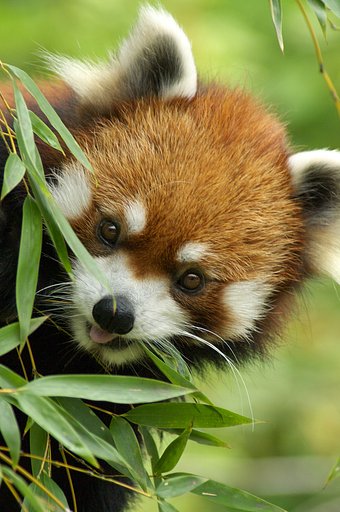 これ、おいしいね！