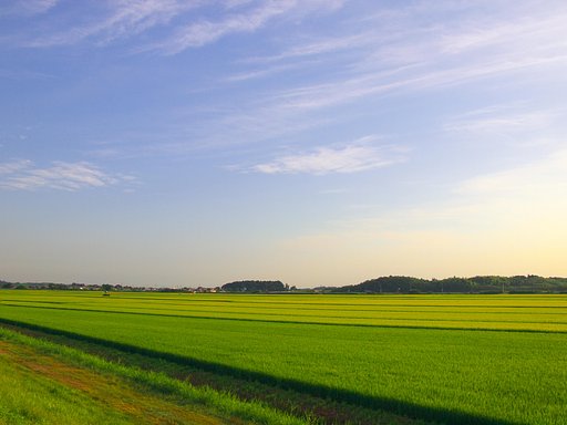 順調に・・・