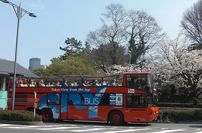 屋根のないバス