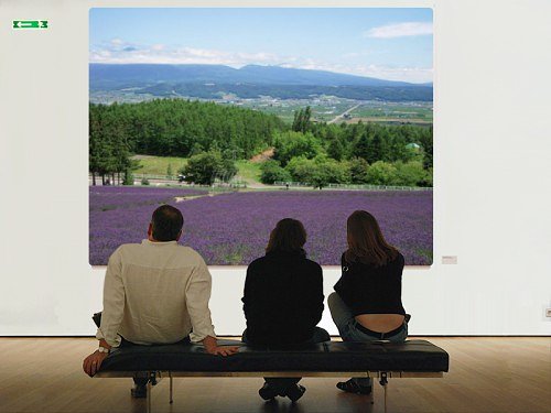 写真美術館に出展