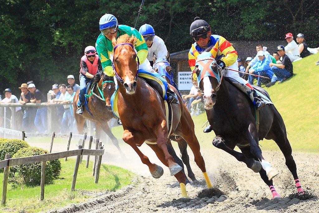 【彩】草競馬