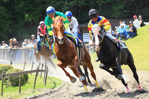 【彩】草競馬