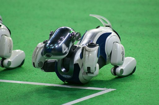 aibo